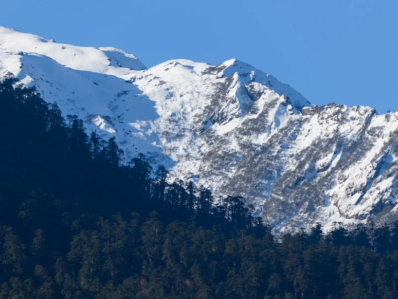 Lachung